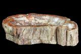 Polished Madagascar Petrified Wood Dish - Madagascar #83068-2